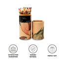British Museum Colored Pencils with Holder