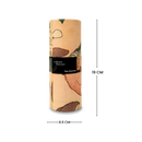 British Museum Colored Pencils with Holder 4