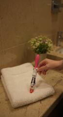 Brush Buddies Talkin Bow Wow Brewster (Dog) Toothbrush-Dark Pink