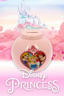 Disney Princess Money Pot