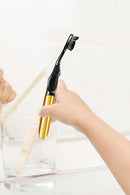 Brush Buddies Lady Gaga Singing Toothbrush (Born This way & Bad Romance)